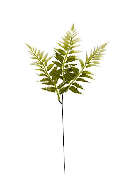 Paproć gałązka 35 cm biało zielona