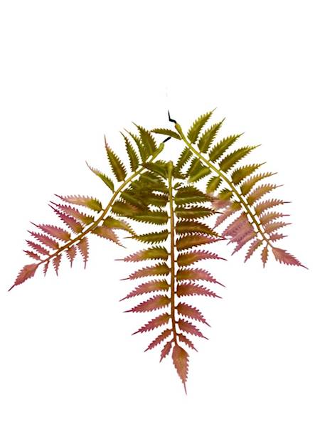 Paproć gałązka 35 cm jasny róż