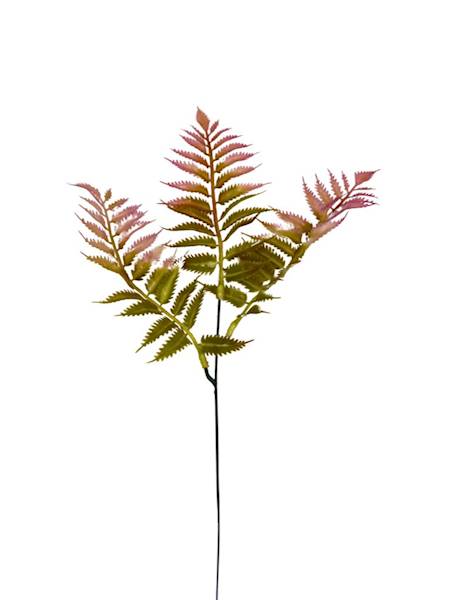 Paproć gałązka 35 cm jasny róż