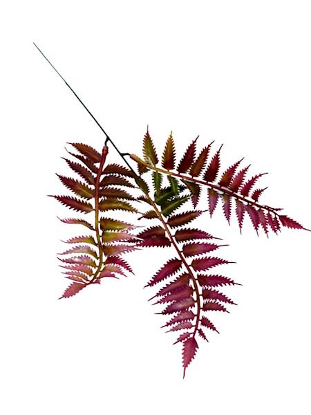 Paproć gałązka 35 cm ciemny róż