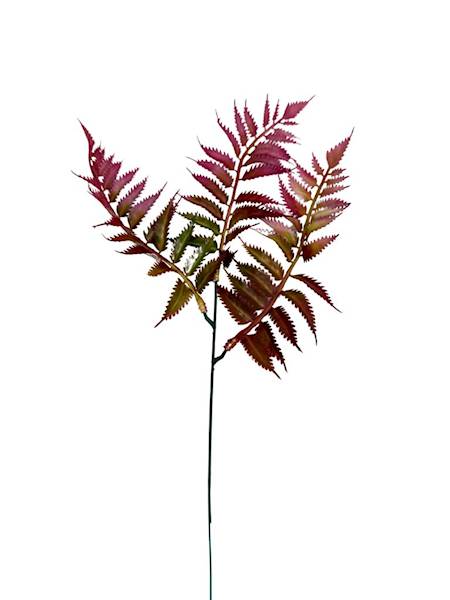 Paproć gałązka 35 cm ciemny róż