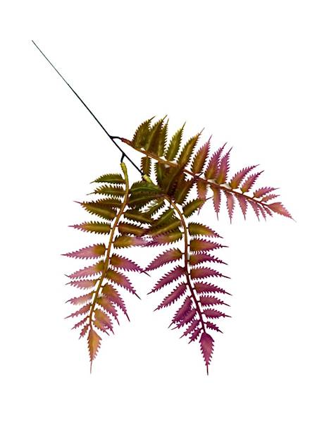 Paproć gałązka 35 cm fiolet