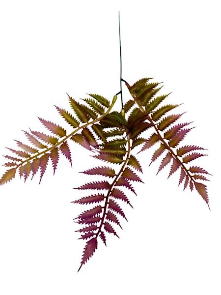 Paproć gałązka 35 cm fiolet