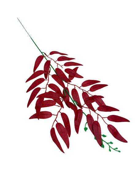 Ruskus gałązka 50 cm czerwony