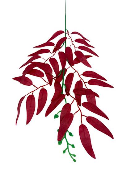 Ruskus gałązka 50 cm czerwony