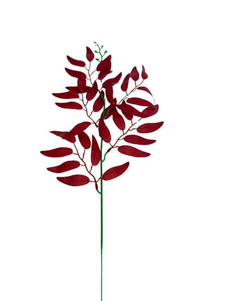 Ruskus gałązka 50 cm czerwony