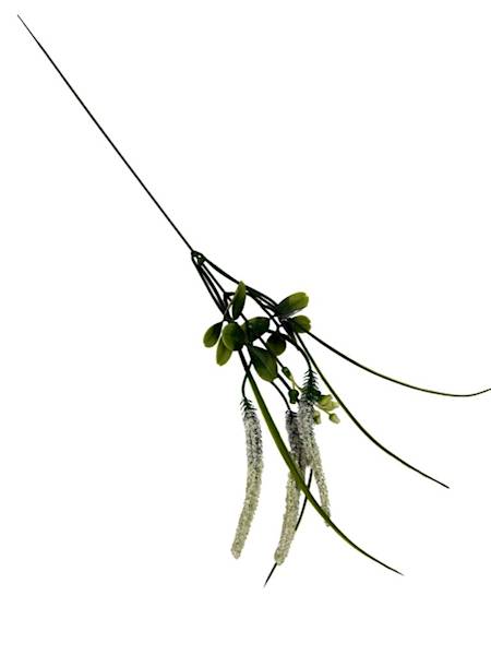 Dodatek wrzos 55 cm biały