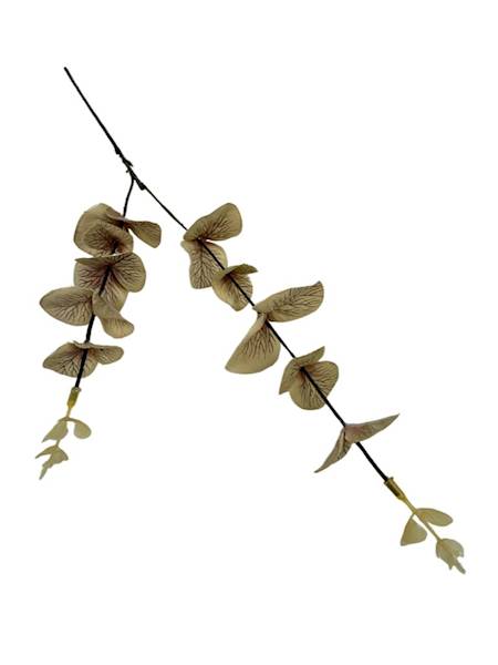 Eukaliptus gałązka 64 cm beż