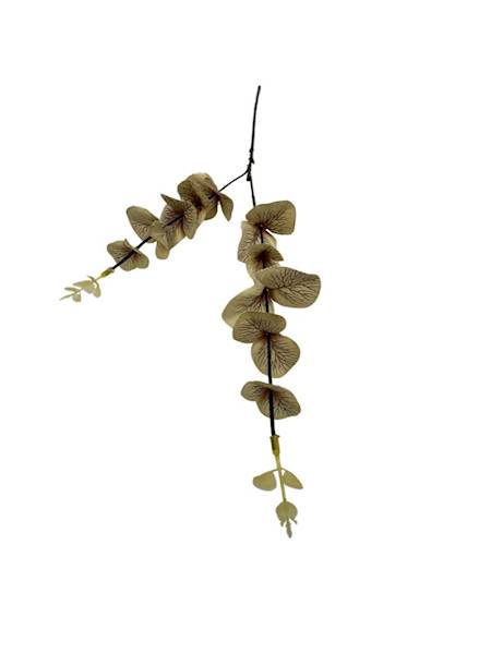 Eukaliptus gałązka 64 cm beż