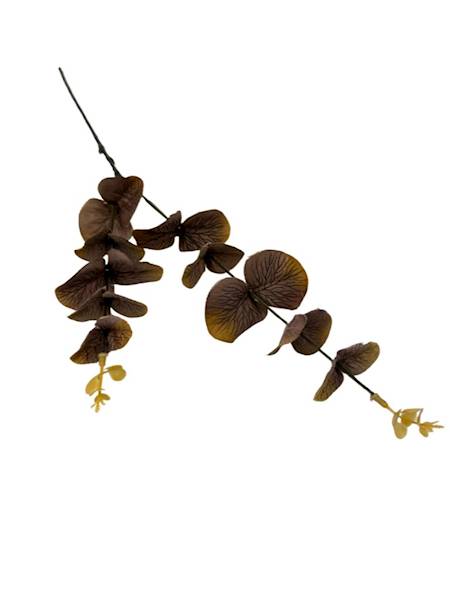 Eukaliptus gałązka 64 cm brąz