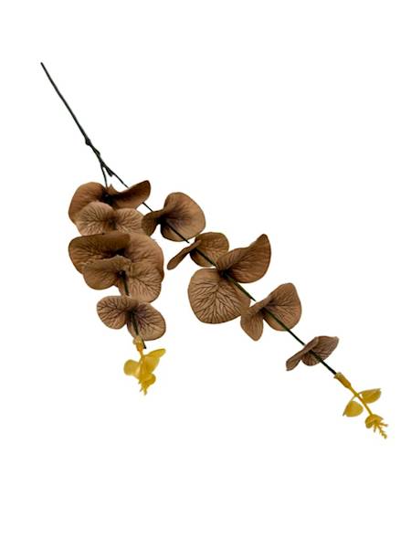 Eukaliptus gałązka 64 cm jasny brąz