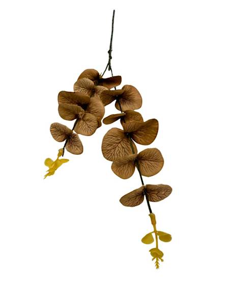 Eukaliptus gałązka 64 cm jasny brąz