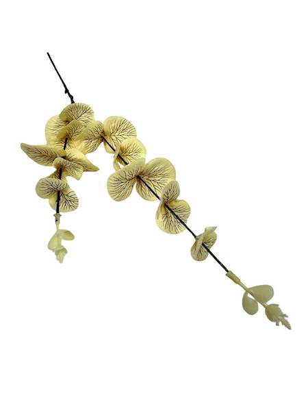 Eukaliptus gałązka 64 cm delikatnie żółty