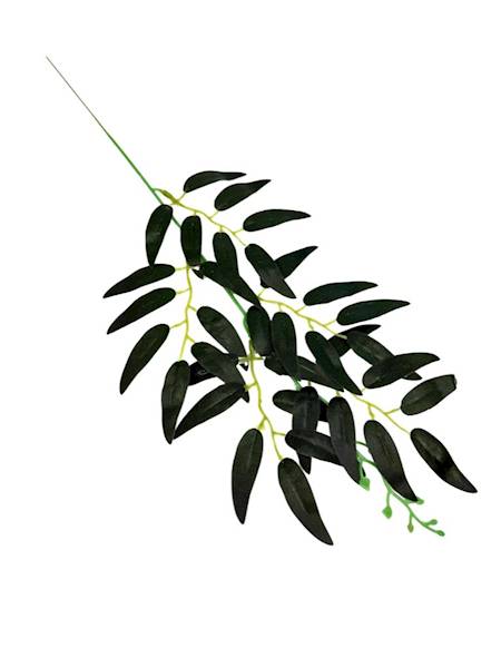 Ruskus gałązka 50 cm ciemno zielony