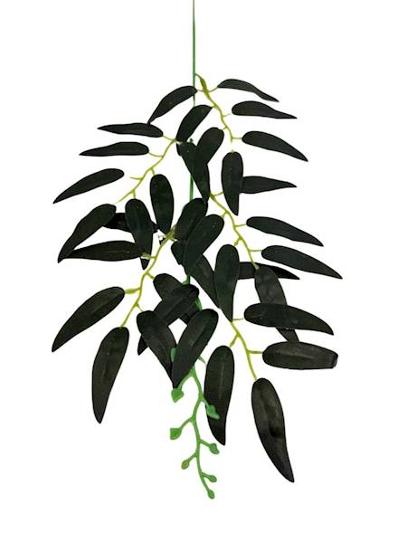 Ruskus gałązka 50 cm ciemno zielony