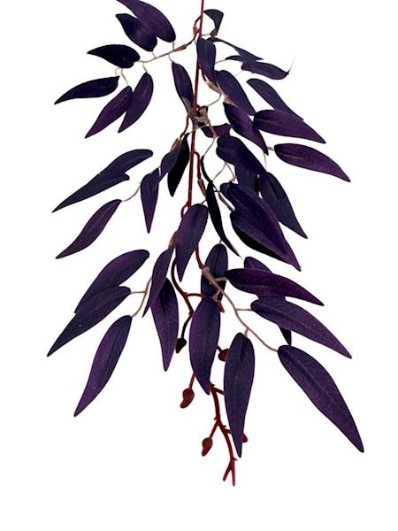 Ruskus gałązka 61 cm ciemny fiolet