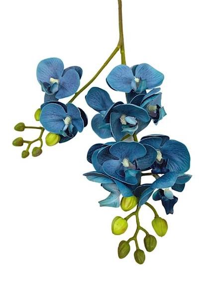 Storczyk gałązka 60 cm niebieski