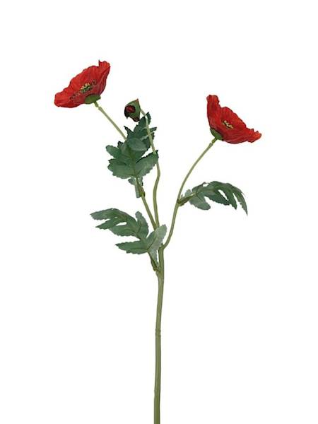 Mak gałązka 65 cm czerwony