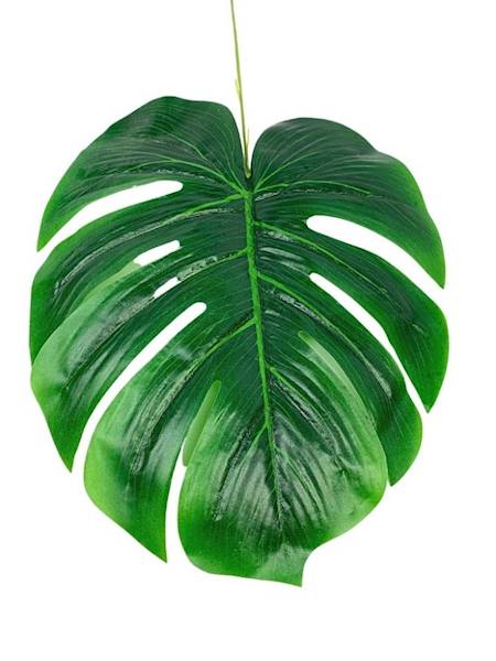 Liść monstera 58 cm 