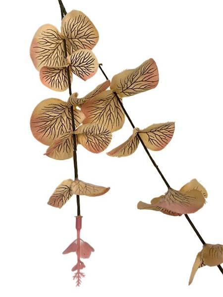 Eukaliptus gałązka 64 cm brzoskwiniowy