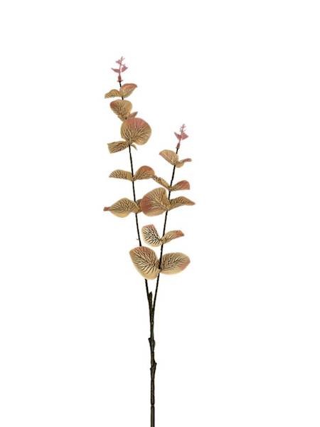 Eukaliptus gałązka 64 cm brzoskwiniowy