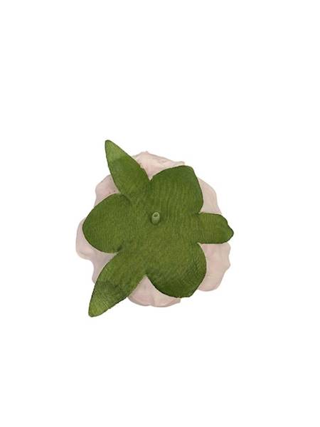 Piwonia główka 8 cm jasny róż