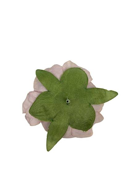 Piwonia główka 8 cm beż brąz