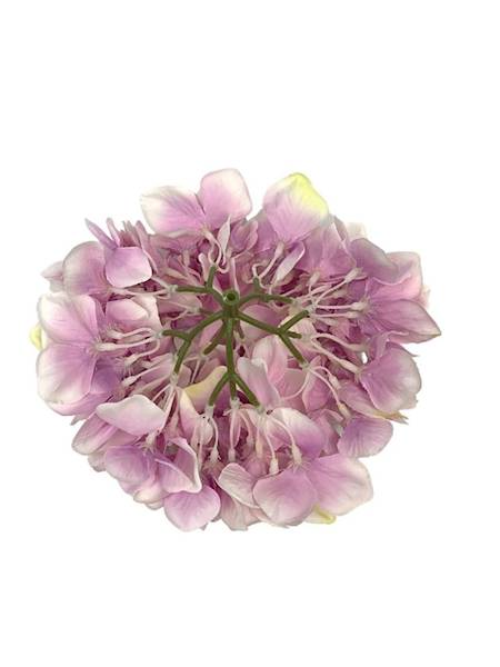 Hortensja główka 20 cm jasny fiolet i kremowy