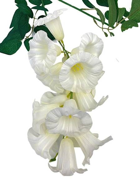 Surfinia petunia gałązka 96 cm kremowa