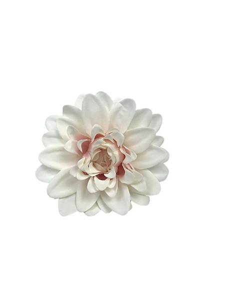 Dalia główka 10 cm kremowa z różem