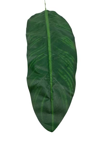 Liść bananowca 102 cm zielony