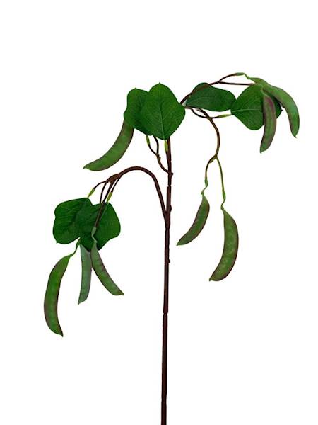 Groszek fasola gałązka 80 cm