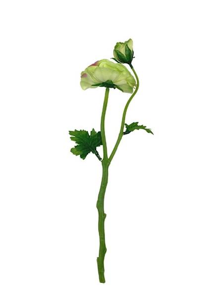 Pełnik gałązka 35 cm zielony