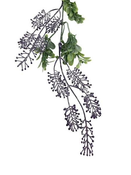 Lawenda pik gałązka 50 cm fioletowa