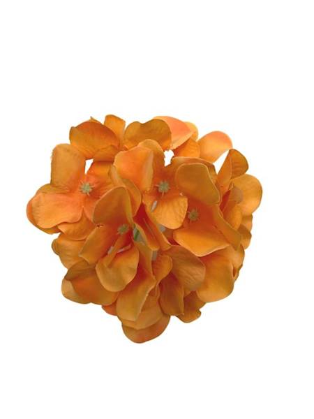 Hortensja główka 13 cm pomarańczowa