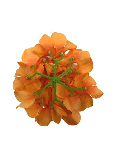 Hortensja główka 13 cm pomarańczowa