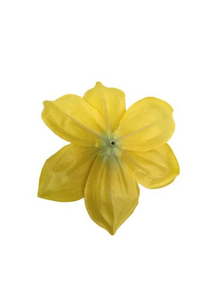 Żonkil główka 12 cm ciemno żółty