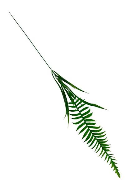 Liść paproci 70 cm zielony