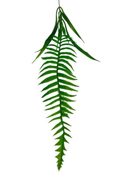 Liść paproci 70 cm zielony