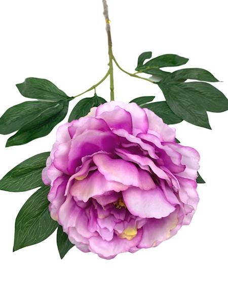 Piwonia gałązka 80 cm fioletowa