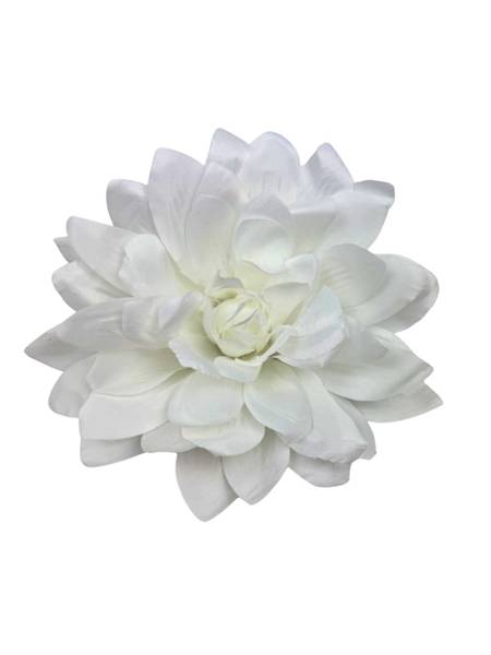 Dalia główka 20 cm biała