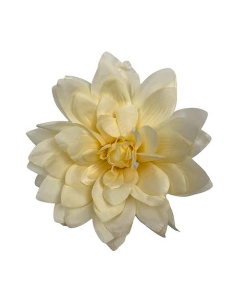 Dalia główka 20 cm kremowa