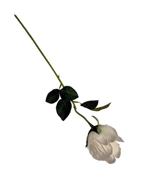 Róża gałązka 50 cm biała