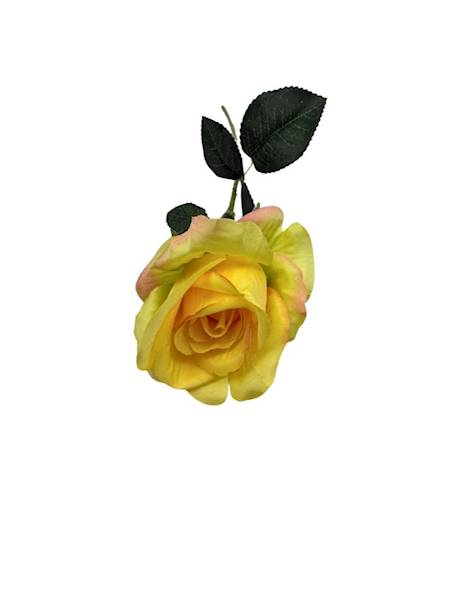 Róża gałązka 50 cm żółta