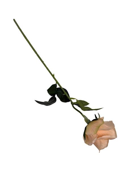 Róża gałązka 50 cm brzoskwiniowa