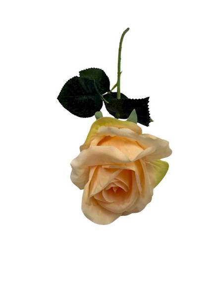 Róża gałązka 50 cm brzoskwiniowa