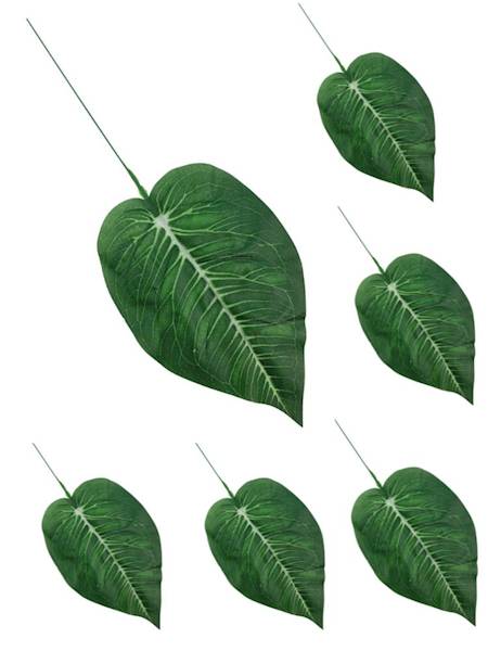 Liść difenbafia 38 cm 6 SZTUK