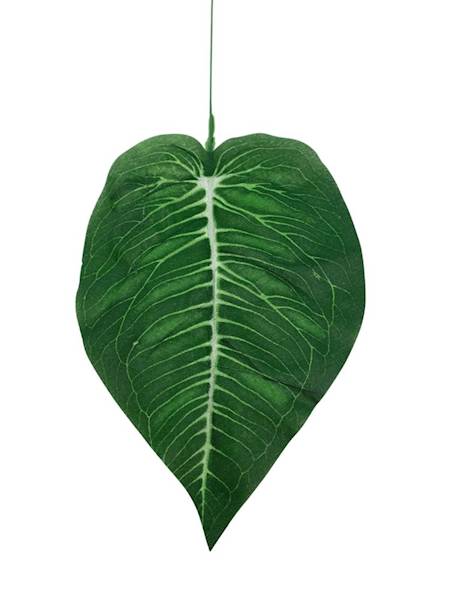 Liść difenbafia 38 cm