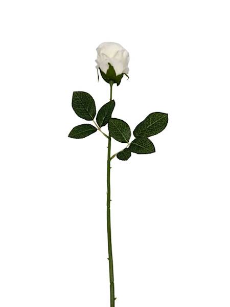 Róża gałązka 60 cm biała śmietankowa