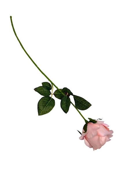 Róża gałązka 60 cm pudrowy róż